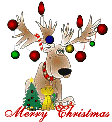 Christmas reindeer